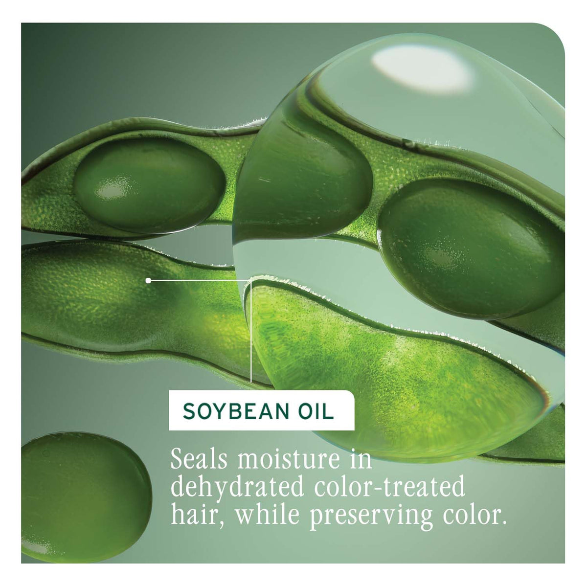 Biolage ColorLast Color Protecting Conditioner 1000ml