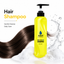 Aqua Professional Gold Hair Care Shampoo 500ml (New Pack)