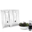 Casmara Reaffirming Facial Mask 2020 for Skin Firming & Hydration