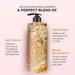 De Fabulous Reviver Hair Repair Shampoo & Conditioner Combo set 1000ml Each - Image 4