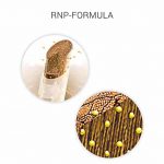 Wella Professional Sp Repair Shampoo For Damaged Hair 250ml - Image 3