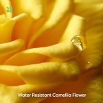 Biolage Smoothproof Shampoo For Frizzy Hair 400ml - Image 4