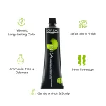 L'Oréal Professionnel INOA salon professional hair color shade 4 natural brown ammonia free formula