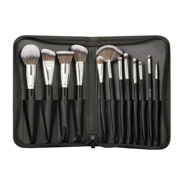 SWISS BEAUTY PRECISION ARTE MAKEUP BRUSH 12 PCS SET