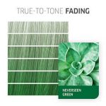 Wella Professionals Color Fresh CREATE NEVERSEEN GREEN (60ml) - Image 4