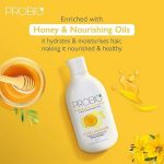 Godrej Professional Probio Honey Moisture Shampoo (250ml) | For Dry & Damaged Hair - Image 3