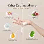 DEDOX Ceramide Rice Moisturizing Toner – 120ml Pure, Natural & Cruelty-Free Niacinamide and Ceramide Glow Facial Toner – Hydrating Essential Face Moisturizer for All Skin Types – Korean Skincare - Image 6