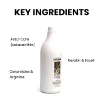 Professional L'Oréal Xtenso Gold salon shampoo for long lasting smooth and frizz controlled hair