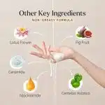 DEDOX Ceramide Rice Moisturizing Toner 20ml – Hydrating Essential Face Moisturizer for All Skin Types – Korean Skincare (20ml) - Image 4