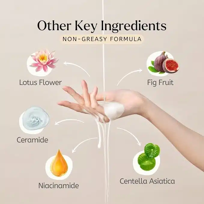 DEDOX Ceramide Rice Moisturizing Toner 20ml – Hydrating Essential Face Moisturizer for All Skin Types – Korean Skincare (20ml) - Image 4