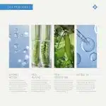 Kanpeki Kerasyl Structure Repair Hair Repairing Mask – Grove | Revives and Repairs Damaged, Dry, and Chemically Treated Hair | Infused with Vegetal Keratin, Algae & Pea Protein | 300gm - Image 3