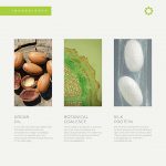 Kanpeki Kerasyl True Soft Hair Mask For Dry Hair | Deep Hydration, Frizz Control & Nourishment | Botanical Essence & Silk Proteins | Lue - 300gm - Image 3