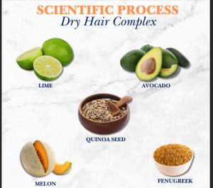 ORANGEWOOD Catalogue 02 17 2026 06 34 PM