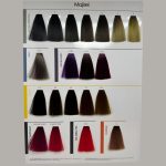 Discover the full spectrum of L'Oréal Professionnel Majirel with the official Majirel Hair Color Shade Card — the essential tool for salon professionals and hair colorists. This comprehensive shade chart showcases the complete Majirel color range, including base tones, fashion shades, high-lift blondes, and coverage colors. Expertly organized for easy reference, the shade card helps stylists guide clients through their color journey, offering a clear visual of each permanent hair color option. From rich brunettes and vibrant reds to cool blondes and icy ash tones, each swatch reflects the true results of the Majirel color range.