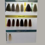 Discover the full spectrum of L'Oréal Professionnel Majirel with the official Majirel Hair Color Shade Card — the essential tool for salon professionals and hair colorists. This comprehensive shade chart showcases the complete Majirel color range, including base tones, fashion shades, high-lift blondes, and coverage colors. Expertly organized for easy reference, the shade card helps stylists guide clients through their color journey, offering a clear visual of each permanent hair color option. From rich brunettes and vibrant reds to cool blondes and icy ash tones, each swatch reflects the true results of the Majirel color range.