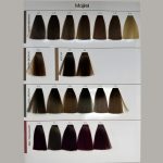 Discover the full spectrum of L'Oréal Professionnel Majirel with the official Majirel Hair Color Shade Card — the essential tool for salon professionals and hair colorists. This comprehensive shade chart showcases the complete Majirel color range, including base tones, fashion shades, high-lift blondes, and coverage colors. Expertly organized for easy reference, the shade card helps stylists guide clients through their color journey, offering a clear visual of each permanent hair color option. From rich brunettes and vibrant reds to cool blondes and icy ash tones, each swatch reflects the true results of the Majirel color range.
