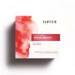 Kanpeki Labs Pro 10 Step Bridal Bright Facial Kit with Vitamin C