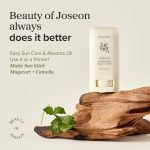 Beauty of Joseon matte sun stick with mugwort and camellia for oil control smooth finish and UV protection