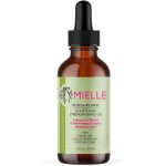 Mielle Rosemary Mint Scalp and Hair Strengthening Oil 59ml original hair care product available on PinkBliss India